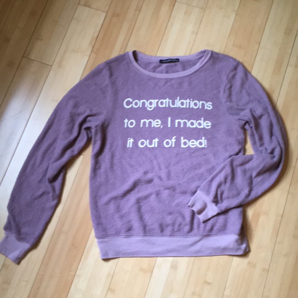 Wildfox sweatshirt
